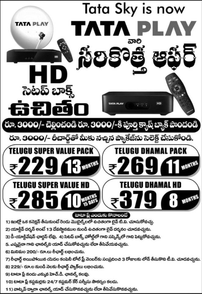 DTH monthly plans